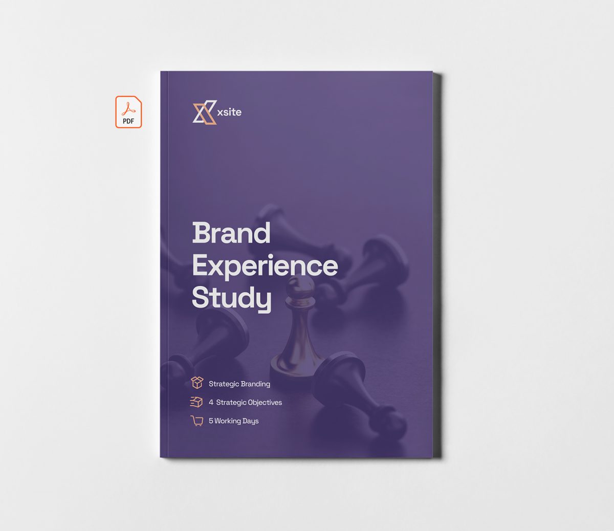 Brand Experience Study