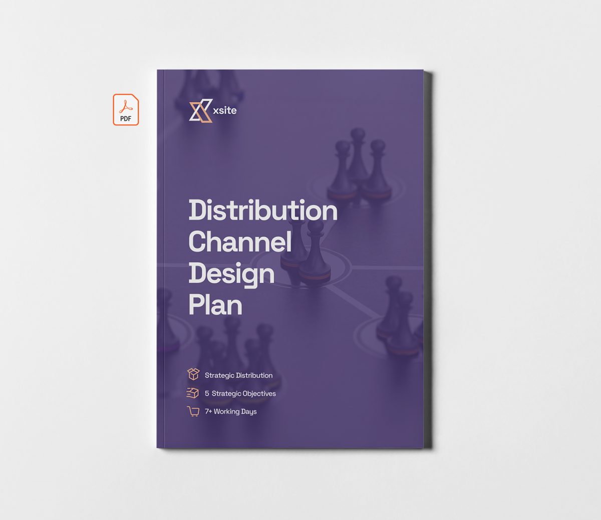 Distribution Channel Design Plan