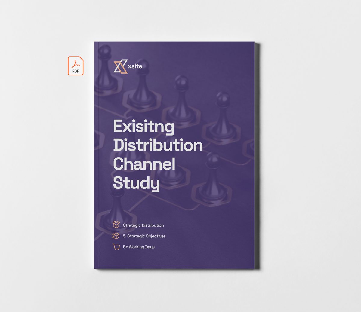 Existing Distribution Channel Study