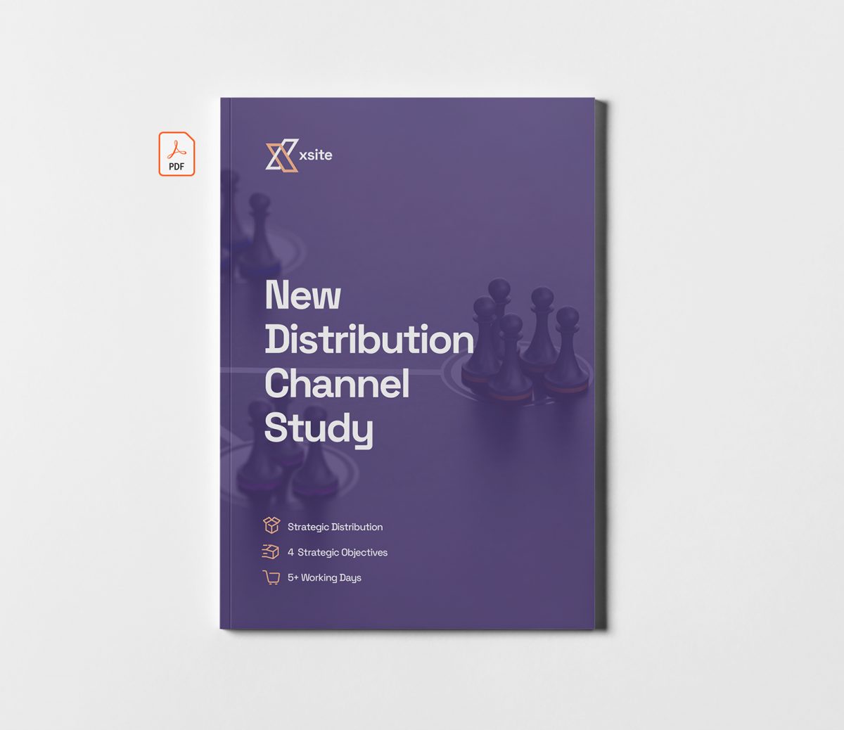 New Distribution Channel Study